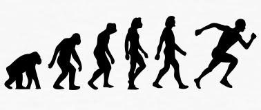 Lauf-Evolution